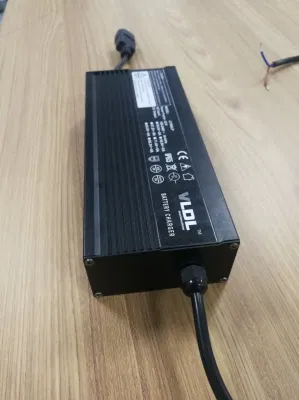 12V 20A IP65 Waterproof Battery Charger for Lithium Ion Battery, CE Cercification