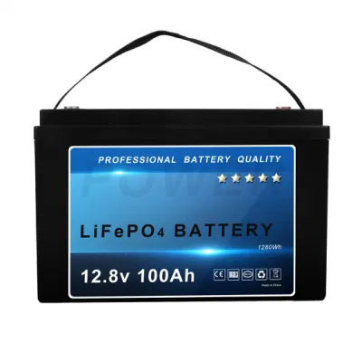 12V/24V/36V/48V 50ah 100ah 150ah 200ah LiFePO4 Lithium Ion Battery for Solar System
