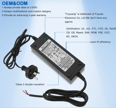 Custom 12V 24V 36V 48V 60V Lithium Battery Charger 2A 3A 4A 5A 10A Electric Scooter Bike Charger