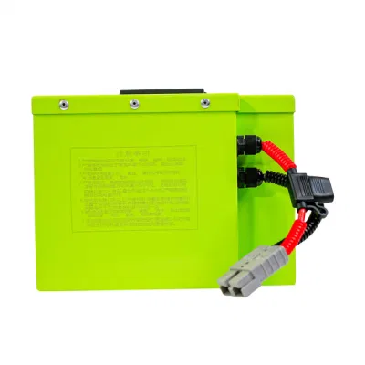 72V Ebike Battery 35ah 35ah 45ah 55ah 65ah Lithium Ion LiFePO4 Battery with Fast Charger Fit for Citycoco Motorcycle Bicycle
