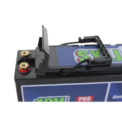 Deep Cycle Battery 12 Volt 100ah Safe Charge for RV Camping Cabin Marine off-Grid System Maintenance-Free