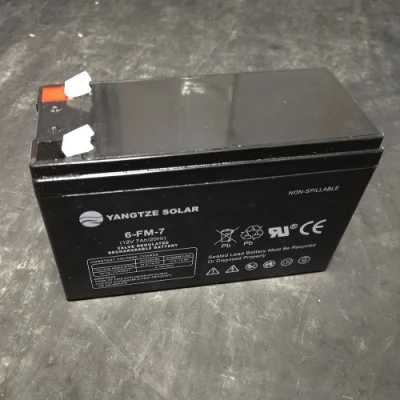 Yangtze 12V 100ah 18650 Battery Pack Charger