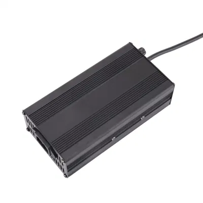Funielec 12V/24V 10A/20A Universal Lead Acid/Solar Automatic Car Battery Charger