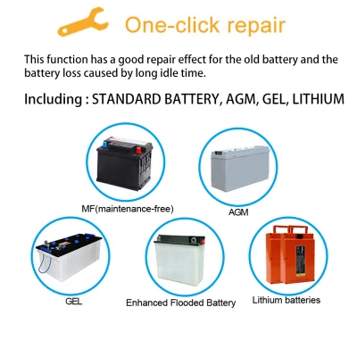 RoHS Approved 12-Volt Famous Brand Fast Delivery Existing Goods New-Style Car Battery Charger
