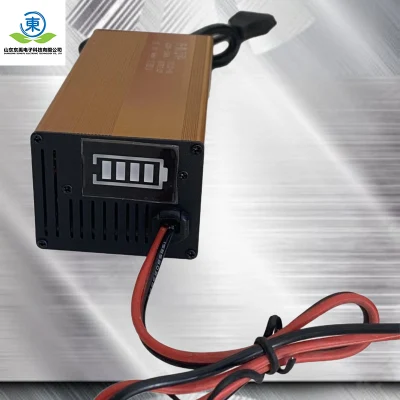 Lithium Ion Battery Charger 12V Customized Ebike LiFePO4 E-Bike Electric Scooter Battery Charger
