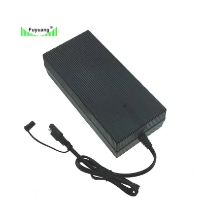 12V 48V 72V 10A 12ah 50A 20 30 50 AMP Electric Vehicle E Rickshaw Motor Xt60 Class 2 Used DC-DC LiFePO4 Battery Charger