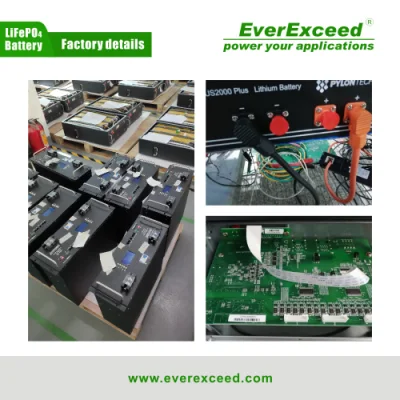 IEC and CE Approved Rechargeable LiFePO4 Lithium Ion 48V 100ah Solar Battery for Solar Energy Systems