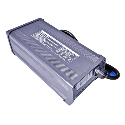 900W Canbus Charger 6s 18V 19.2V LiFePO4 Batteries Chargers 21.6V/21.9V 30A 35A 40A for New Energy Vehicles, Rvs Battery Pack