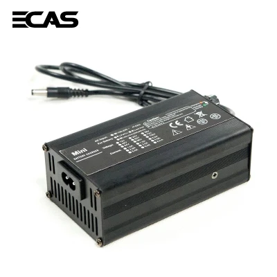 14.6 V 30 a LiFePO4 Battery Charger for 12 V Lithium Iron Phosphate Deep Cycle Rechargeable Batteries