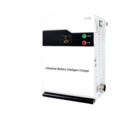 IP65 Lead Acid ION 12/24/48Volt lithium lifepo4 Battery Charger &nbsp;For Golf cart electric car marine