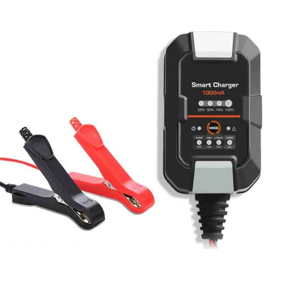 Car 12 Portable RC 12V 100ah 48 Volts Multi Mobility Scooter V Volt Auto Acid 24V LiFePO4 Adjustable Power EV Battery Charger