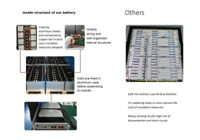 High Performance Li-ion Lithium-Ion LiFePO4 Rack Storage Charger Electric Motorcycles Lithium Batteries Battery