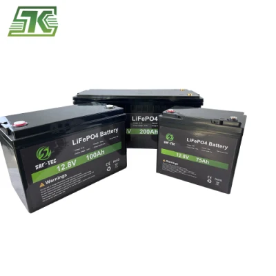 12V 24V 48V 50ah 100ah 120ah 150ah 200ah 300ah LiFePO4 Seftec Deep Cycle Solar Energy Storage Lithium UPS Lithium Ion Battery
