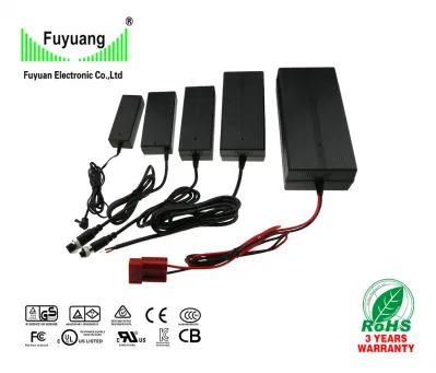 12V 48V 72V 10A 12ah 50A 20 30 50 AMP Electric Vehicle E Rickshaw Motor Xt60 Class 2 Used DC-DC LiFePO4 Battery Charger