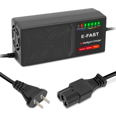 Factory Direct Vehicle Tools 48V12ah Lead Acid Battery Charger