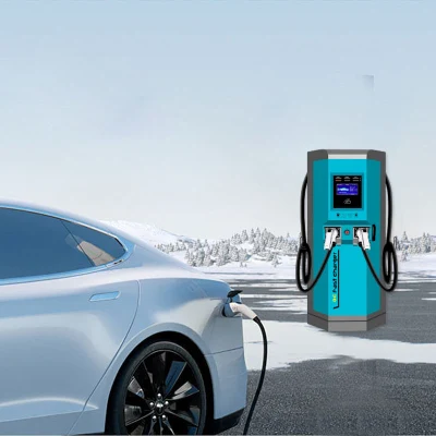 New Product IC Card Authentication Cav IP54 30kw Chademo EV Onboard Charger DC DC 96 Volt