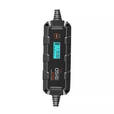 Portable Electric Vehicle Battery Wet, Gel, Mf, Ca, Efb, AGM, Lithium Battery Charger with Coc