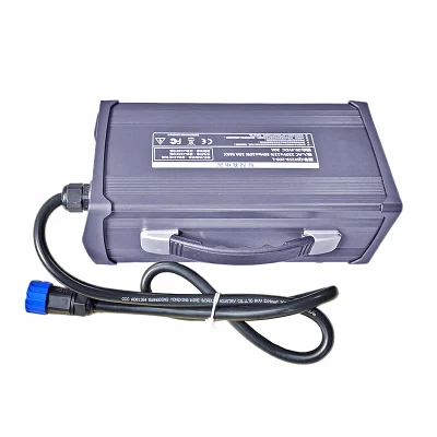 900W Canbus Charger 6s 18V 19.2V LiFePO4 Batteries Chargers 21.6V/21.9V 30A 35A 40A for New Energy Vehicles, Rvs Battery Pack