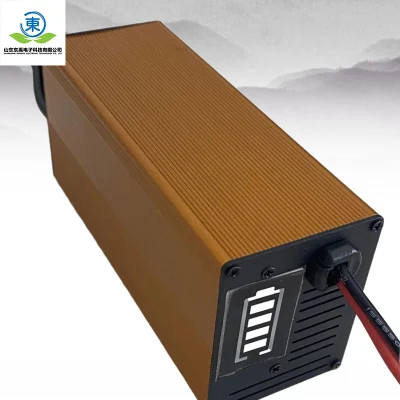 Lithium Ion Battery Charger 12V Customized Ebike LiFePO4 E-Bike Electric Scooter Battery Charger