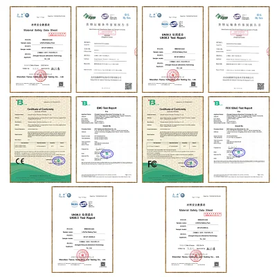 Bloopower 12V 12.8V 24V 36V 48V 60V 72V 50ah 100ah 120ah 150ah 200ah 400ah 500ah LiFePO4 Lithium Charger for Solar Wall System Energy Stoarge Battery