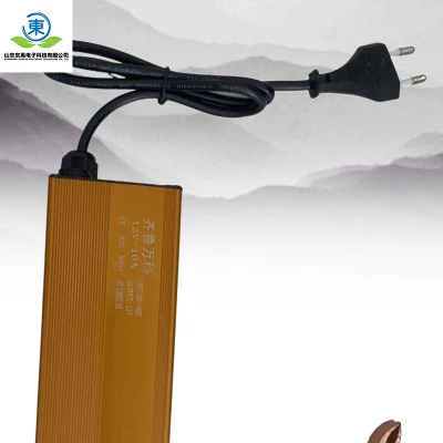 Lithium Ion Battery Charger 12V Customized Ebike LiFePO4 E-Bike Electric Scooter Battery Charger