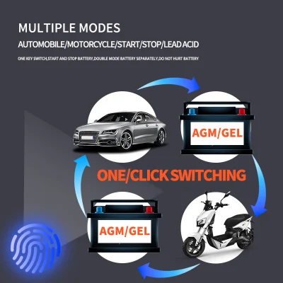 High Quality Auto Motorcycle Battery Smart Pulse Repair Car Battery Charger 12V 24V