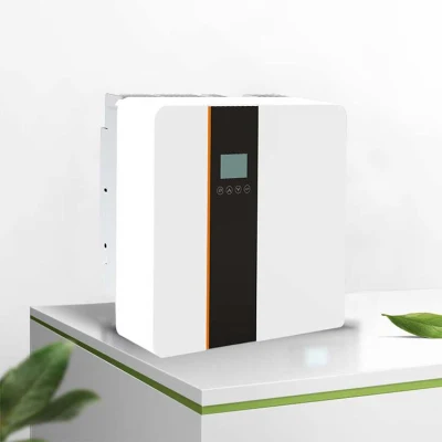 Soler Inverter Solar Home System Inverter Charger for LiFePO4 Battery
