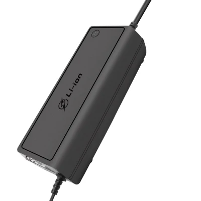 Auto Charger Lithium Battery Charger Intelligent Pulse 12 Volts 20 AMPS