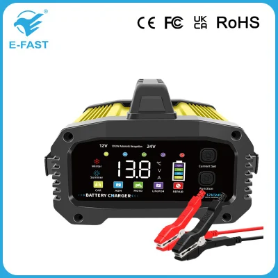 12V 24V Car Battery Charger 25A 20A 15A 8A 2A Lithium Ion and Lead Acid Battery Charger with Aluminum Case