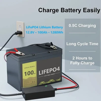 Rechargeable Lifepo4 12v 24v 36v 50ah 100ah Lithium Ion Battery