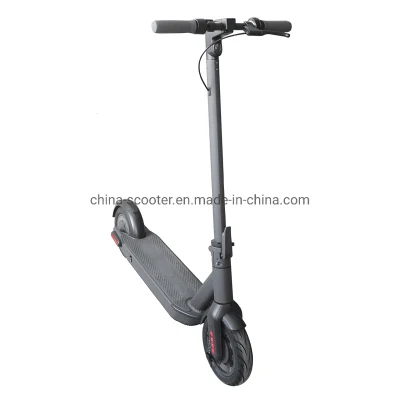 Aok 10 Inch Adult Hummer Electric Scooter with 500W 36V 15ah Lithium Battery