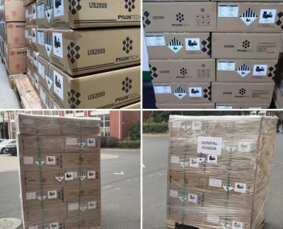 1301 Us3000 48 Volt 50 Ah Lithium 48 V Lithium Battery Ion Batteries 50ah with 6000 Cycles
