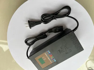 16cells 48V/58.4V5a/6A/8A LiFePO4 Battery Charge Automatic Intelligent Battery Chargers