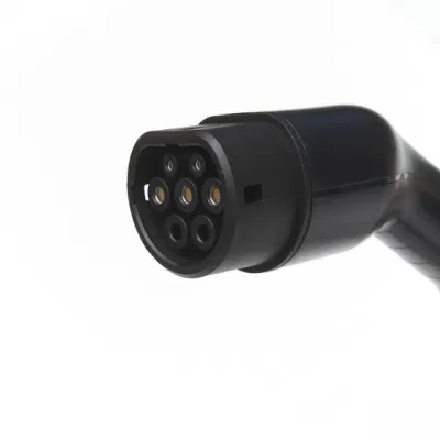 Power2move Low Price Onboard 7kw EV Charger