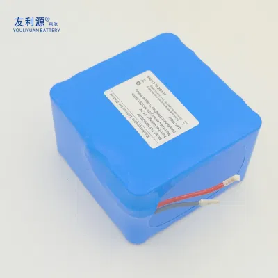 18650 Li-ion Battery Pack 11.1V 24ah 3s12p Lithium Battery Pack Power Battery Battery Storage Battery Charger Lithium Titanate Battery for Electric Motorcycle