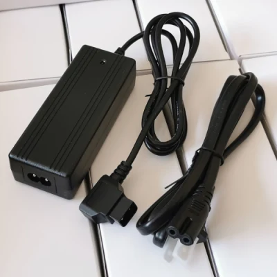 12V 12.6V 14.6V 42V 48V 2A 3A 100ah Lipo Lithium Ion Lead Acid 12 Volt Golf Cart Drone Phylion E Bike LiFePO4 Battery Charger