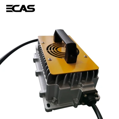 High Quality Weatherproof High Speed Au Rema Plug in Power Adapter 12V 24V 36V 48 Volt Battery Charger