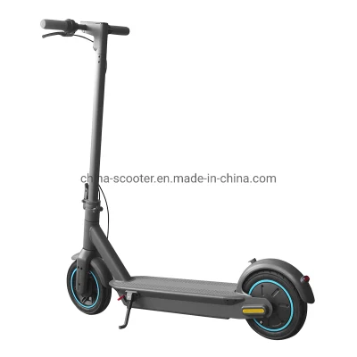 Aok 10 Inch Adult Hummer Electric Scooter with 500W 36V 15ah Lithium Battery
