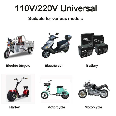 Hot Sale 12V 2.5A Battery Charger for Car Motorcycle Battery Charger