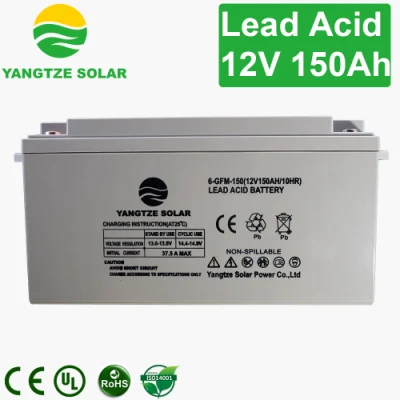 150ah Maintenance Free Deep Cycle Battery Charger