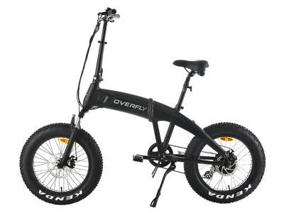 Hummer-S 20&quot; 500W/48V with Integrated Battery Folding Bike Electric Fat Bike