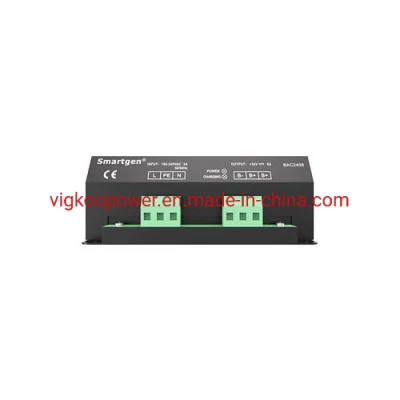 Generator Battery Trickle Charger China Smartgen Deepsea Double Voltage Automatic Float Charging 12V 24V 6A 10A CH2810 Bac06