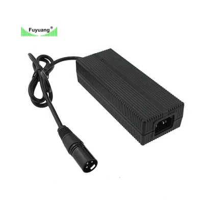 Drone Electric Scooter Car Sweeper Charger 21.6V 6s Lion Batteries 12A Lithium-Iron Phosphate Battery Charger 25.2V