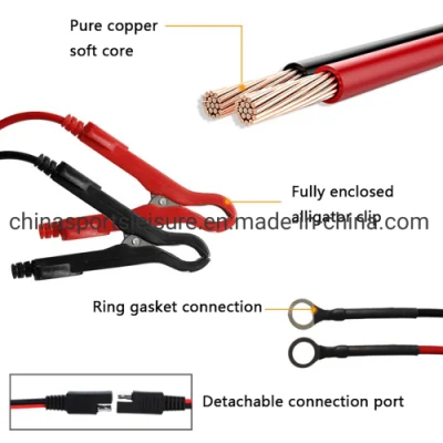 Car Battery Charger 12V/24V Automatic Charging for Lithium AGM Gel Lead-Acid Battery with CE and RoHS