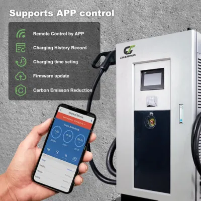 Champion Floor Mounted Commercial 30kw 40kw 60kw Fast EV Charger for Electric Car and Bus with Ocpp and CE