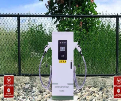 60kw Dual Charging Gun Commercial Floor-Mounted DC EV Charger Fast Charging DC EV Charger Charging Pile