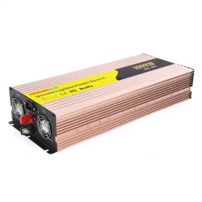 3000W 12V/24V/48V DC to AC 110V/220V UPS Power Inverter with Charger