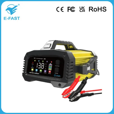12V 24V Car Battery Charger 25A 20A 15A 8A 2A Lithium Ion and Lead Acid Battery Charger with Aluminum Case