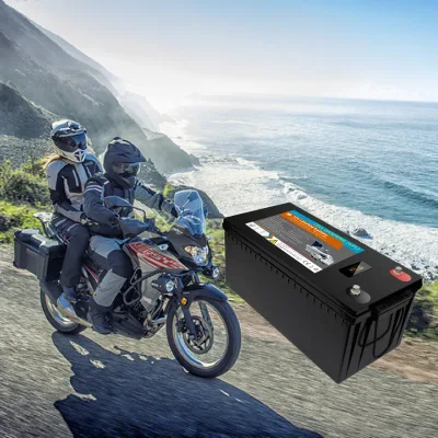 Lithium Ion Lead Acid Replacement Batteries 24volt 200 Ah 24V 100ah 12 V 400 Ah LiFePO4 Battery