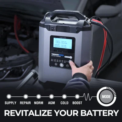 Topdon Factory Supply Tornado90000 24V Lithium 12 Volt Auto Ion Car LiFePO4 Battery Charger Lead Acid 12V Motorcycle Intelligent 100ah Charger for Car Battery